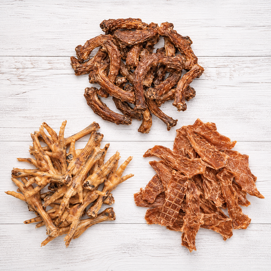 PupChew single-ingredient chicken feet, chicken necks, and chicken jerky dog treats