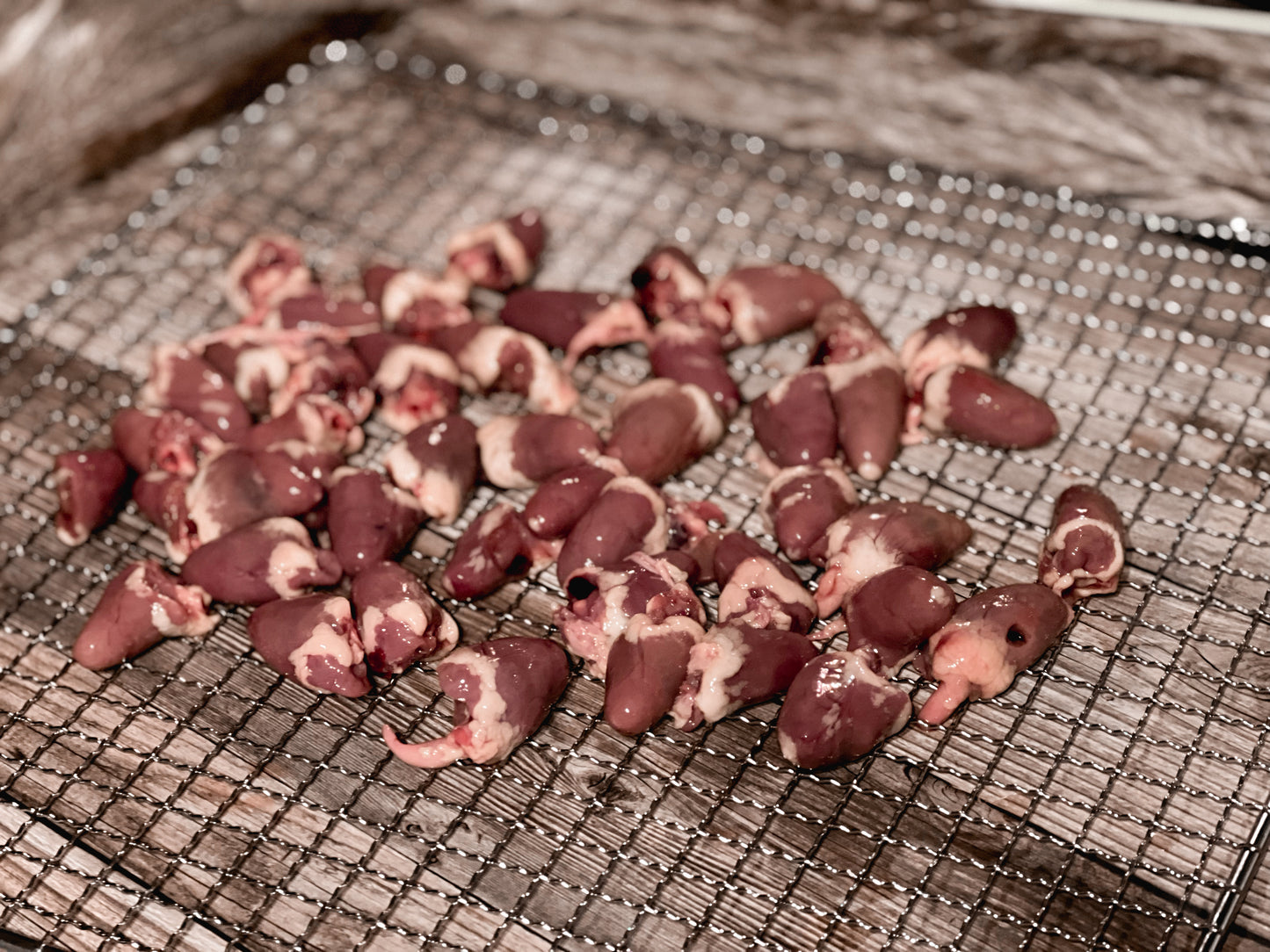 Raw chicken hearts arranged on a mesh dehydrator rack