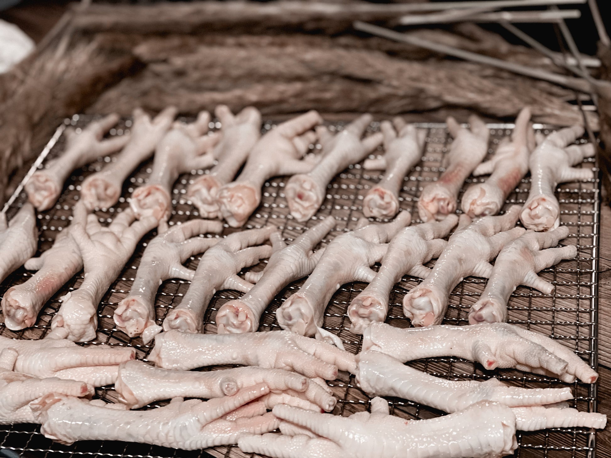 Raw chicken feet arranged on a mesh dehydrator rack